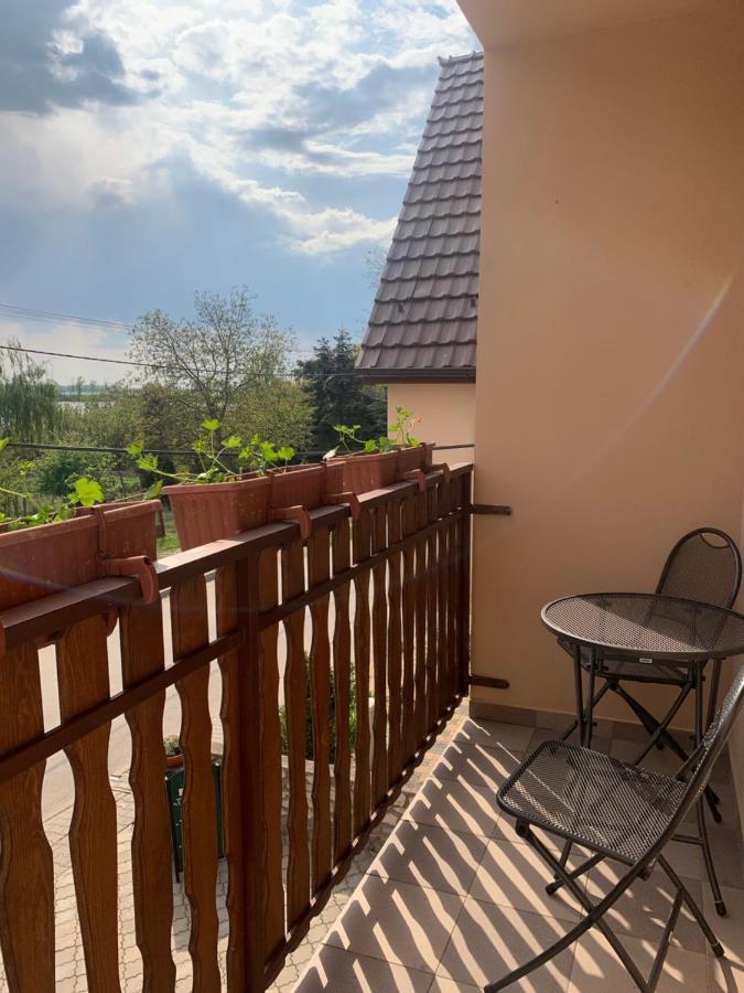 Penzion Vinařský dům PÁLAVA Strachotin Exterior foto
