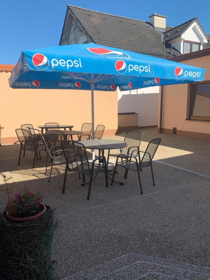 Penzion Vinařský dům PÁLAVA Strachotin Exterior foto